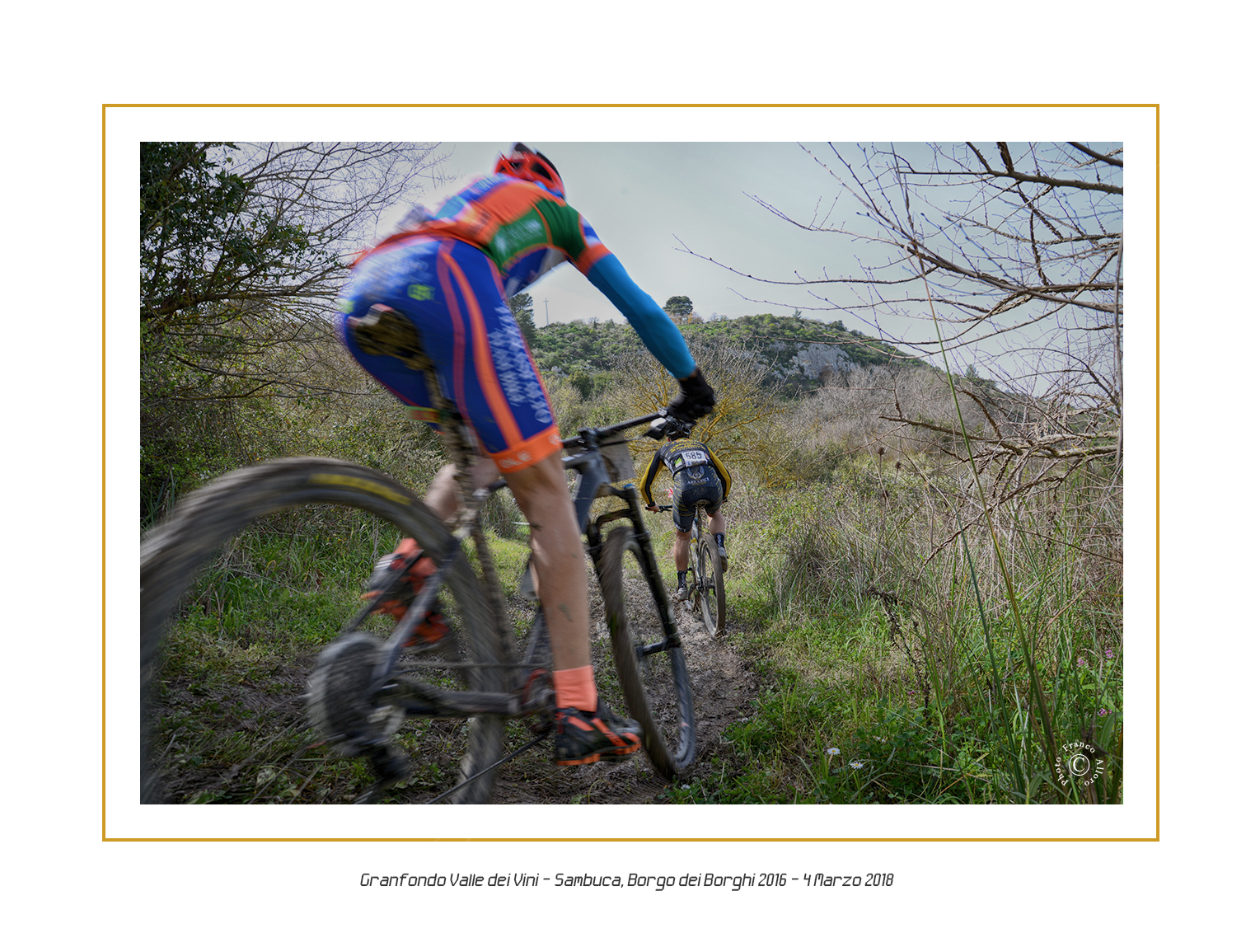 Fondo 2018 27