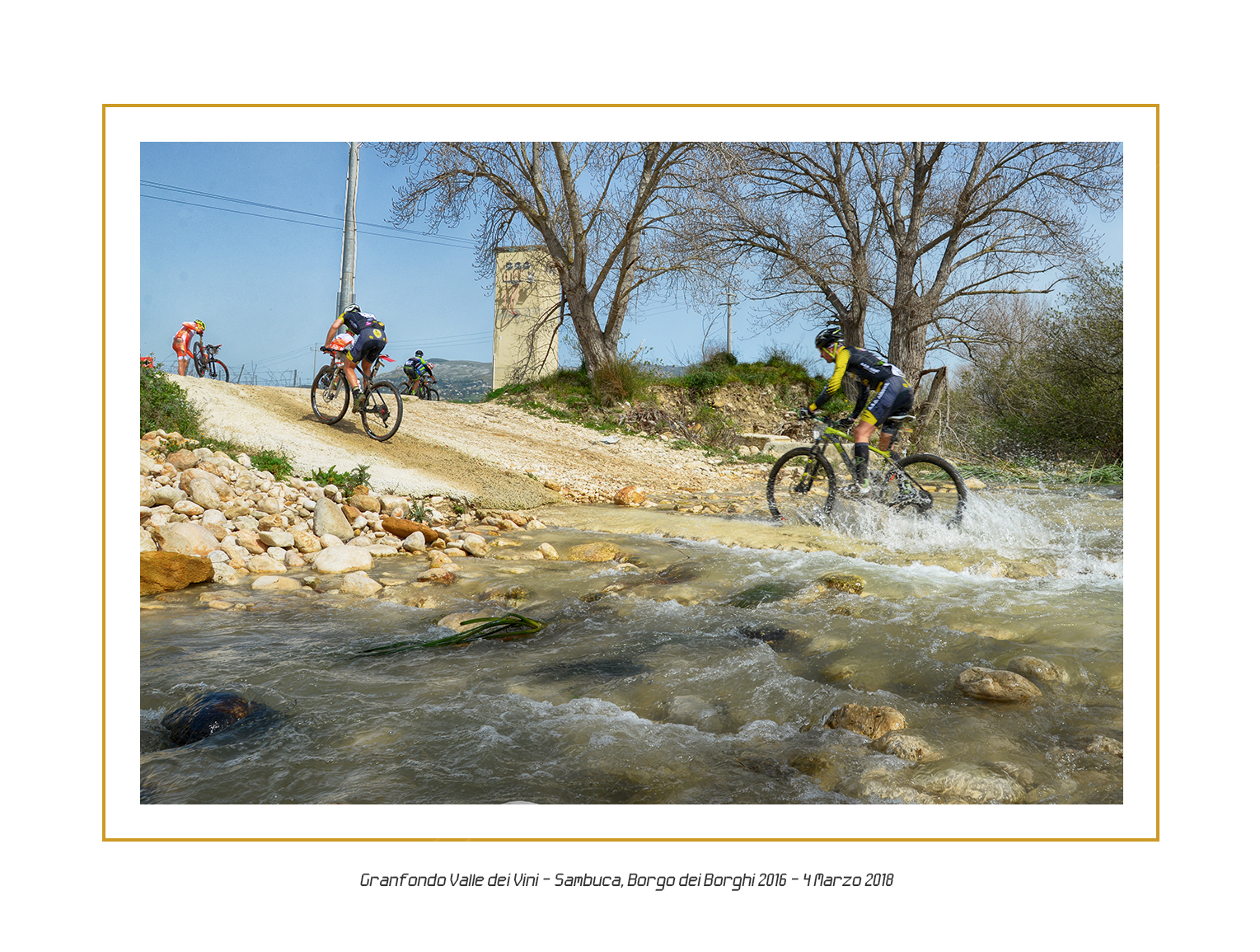 Fondo 2018 41