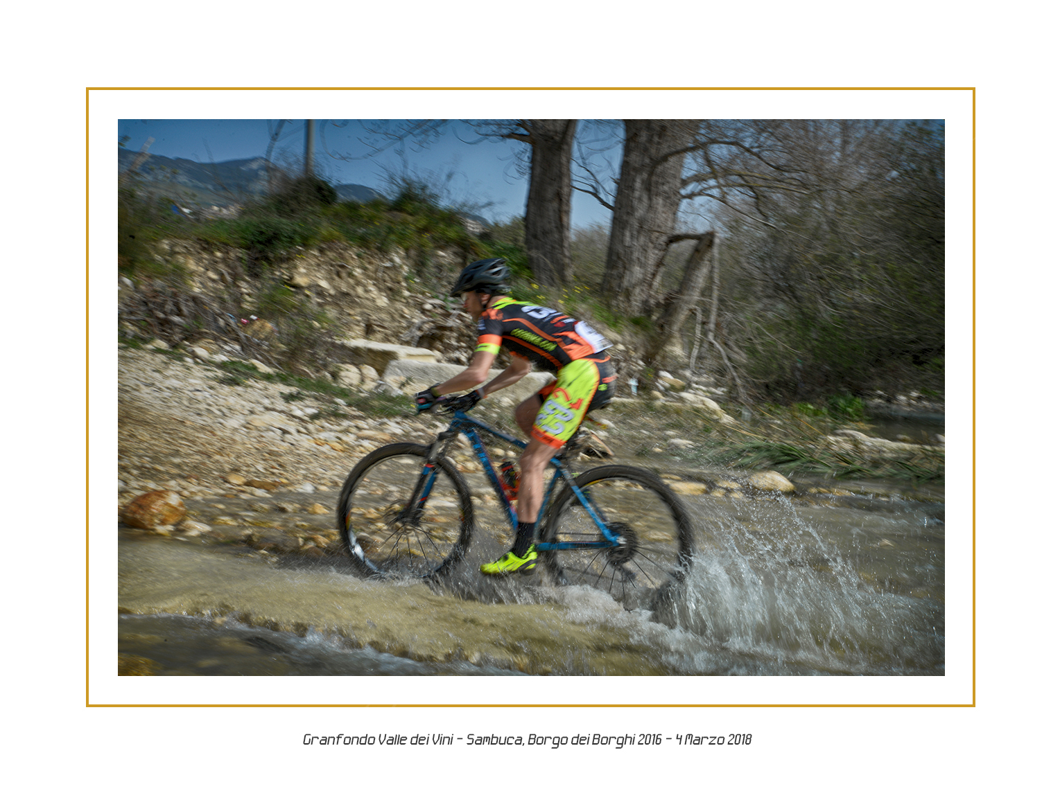 Fondo 2018 43