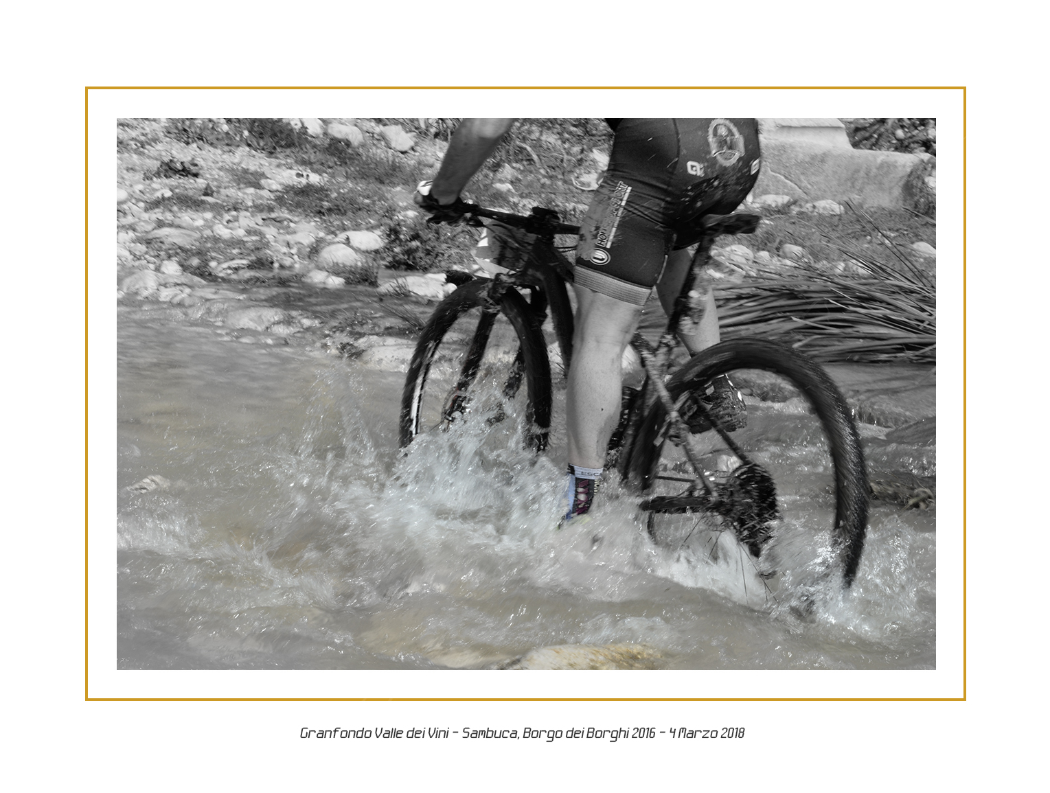 Fondo 2018 45