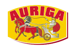 Auriga